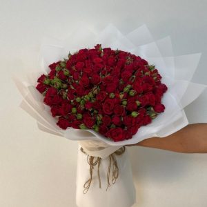 50 Red Baby Roses