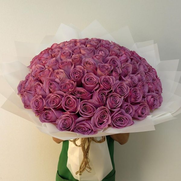 purple_roses_in_qatar