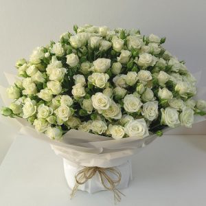 50 white baby roses vase