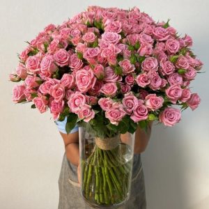 50 Pink Baby Roses
