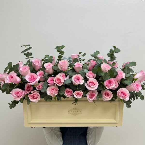 Chadstone Fairhome Roses