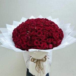 100 Red Baby Rose WW