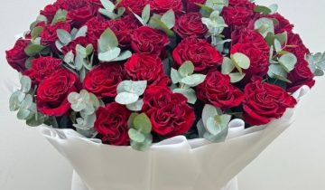 How to Order Best Red Roses Near You in Doha